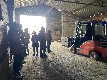 Zdjęcie: img-20241115-wa0005.jpg